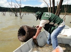 Começa nesse sábado (01) o período da piracema nos rios da região de Maringá